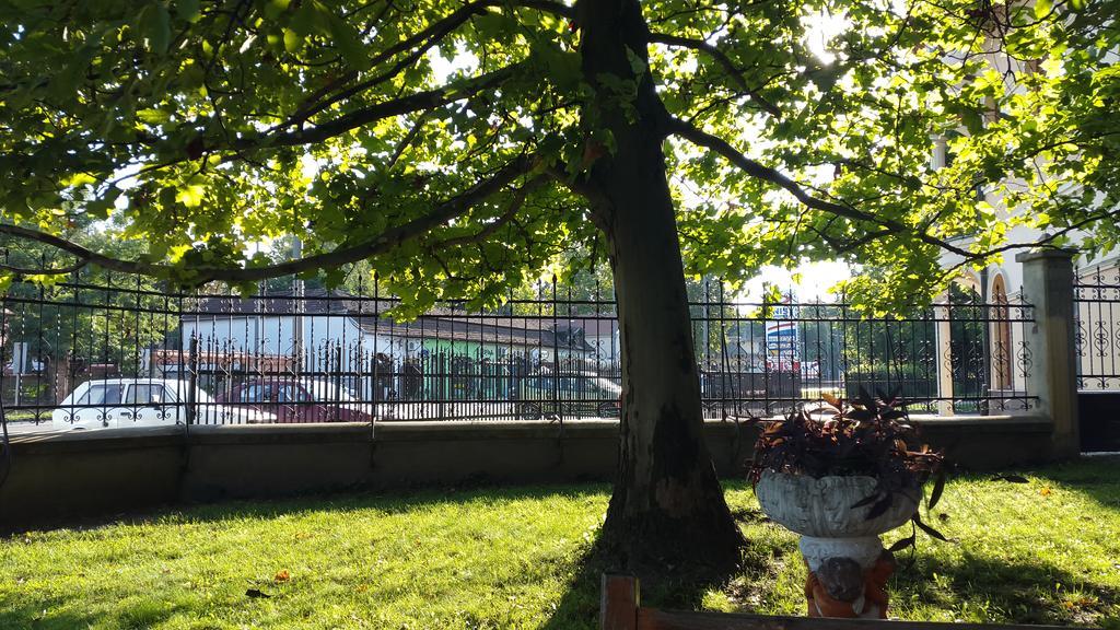3 Platana Apartman Palics Kültér fotó