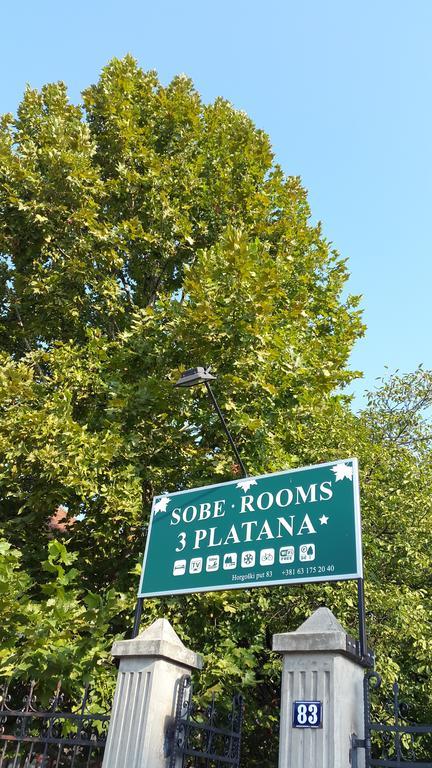 3 Platana Apartman Palics Kültér fotó