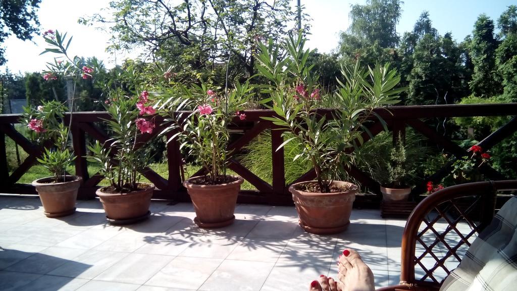 3 Platana Apartman Palics Kültér fotó