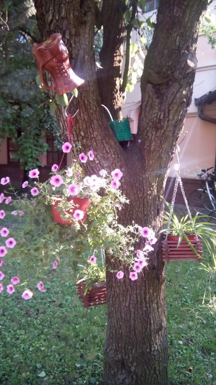 3 Platana Apartman Palics Kültér fotó