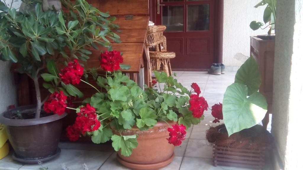 3 Platana Apartman Palics Kültér fotó