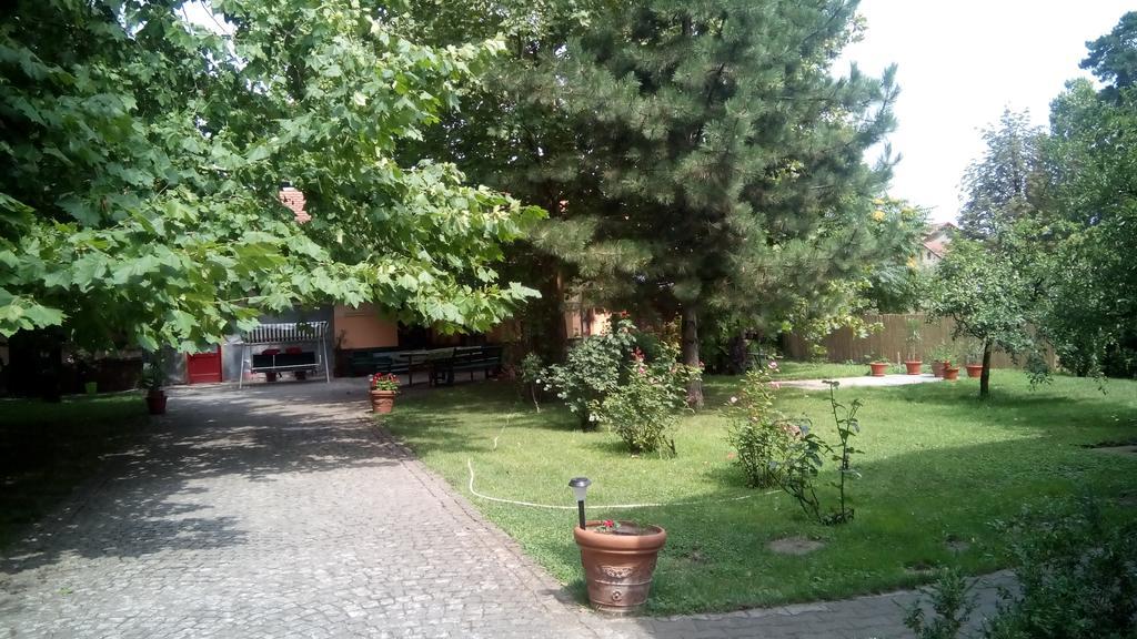 3 Platana Apartman Palics Kültér fotó