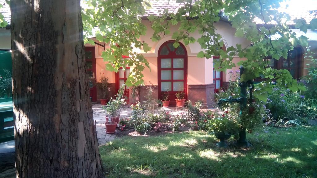 3 Platana Apartman Palics Kültér fotó