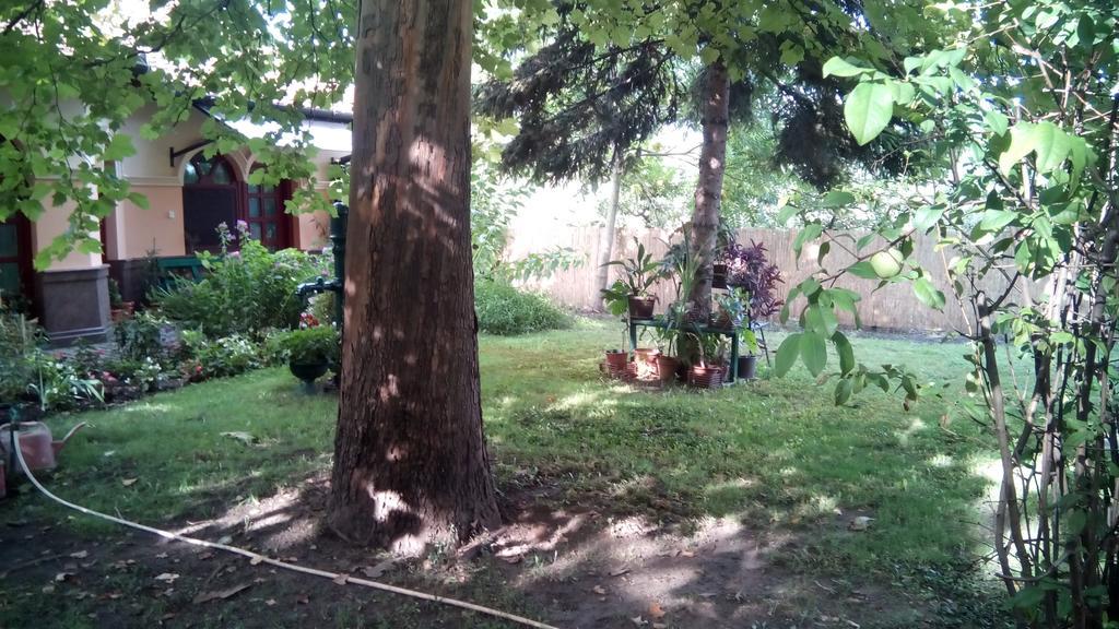 3 Platana Apartman Palics Kültér fotó