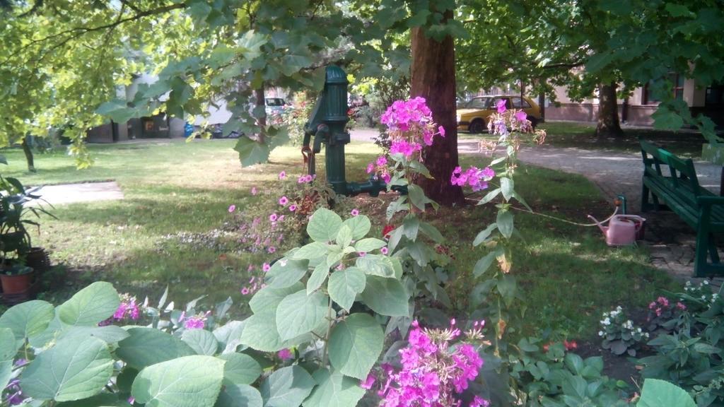 3 Platana Apartman Palics Kültér fotó