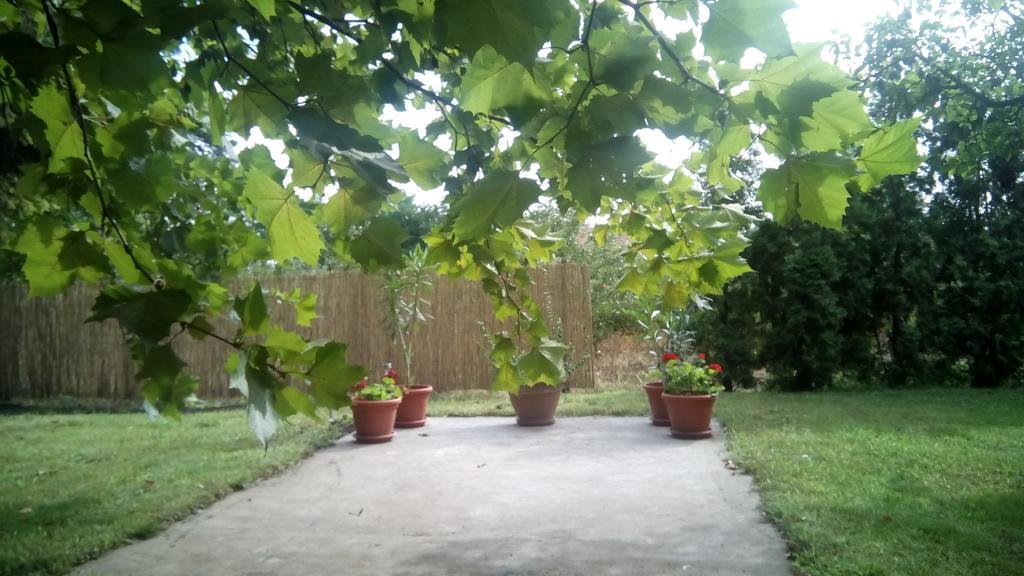 3 Platana Apartman Palics Kültér fotó