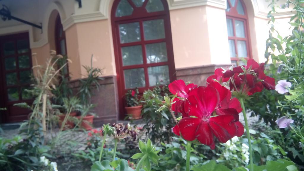 3 Platana Apartman Palics Kültér fotó