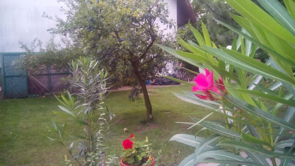 3 Platana Apartman Palics Kültér fotó