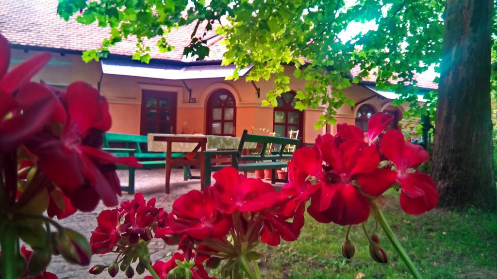 3 Platana Apartman Palics Kültér fotó