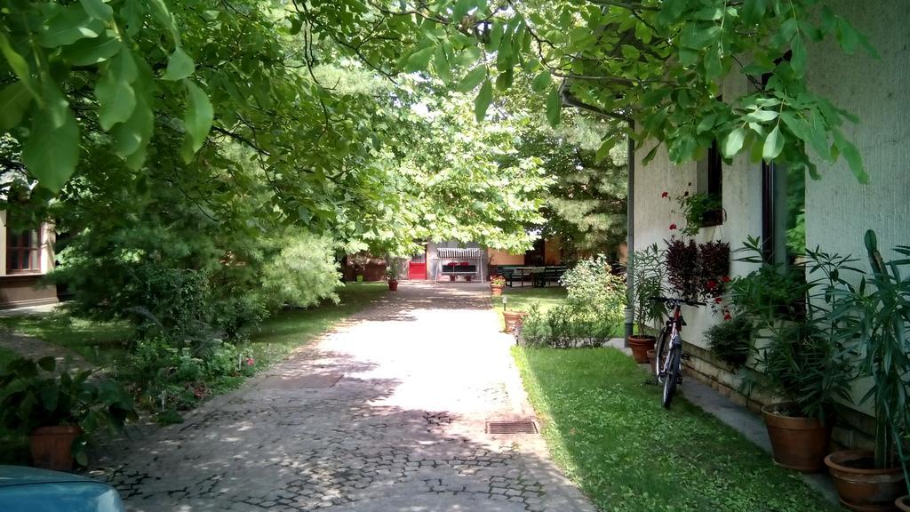 3 Platana Apartman Palics Kültér fotó