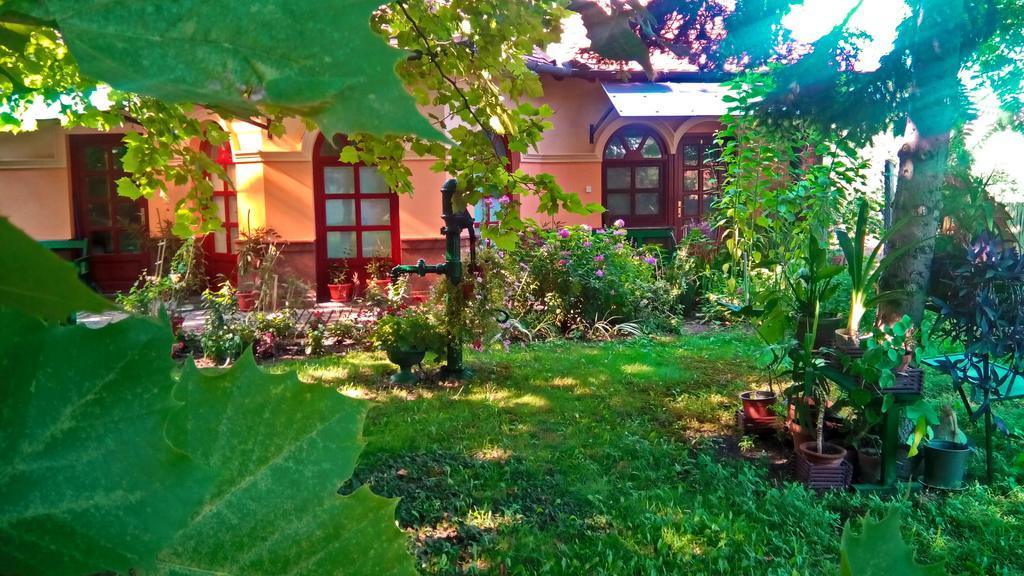 3 Platana Apartman Palics Kültér fotó